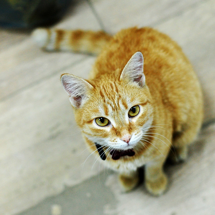 Dsc_1518
